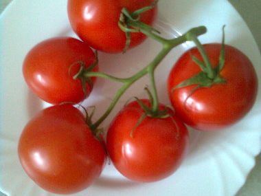 Pečená rajčata