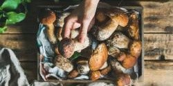 Top houbové recepty: vyzkoušejte řeckou musaku s houbami