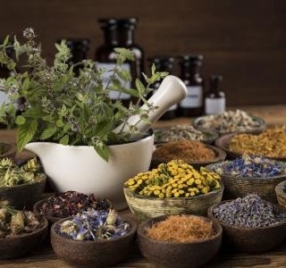 Léčivé rostliny, které si snadno vypěstujete doma v truhlíku