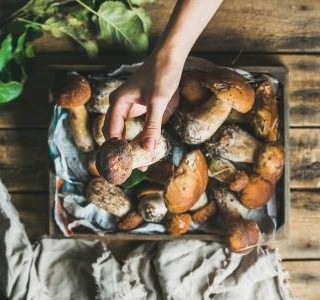 Top houbové recepty: vyzkoušejte řeckou musaku s houbami